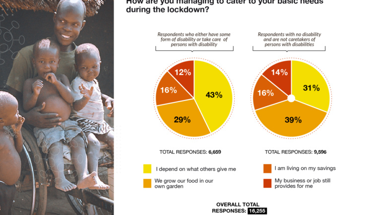 Poll 4: Effect of the COVID-19 lockdown on livelihoods