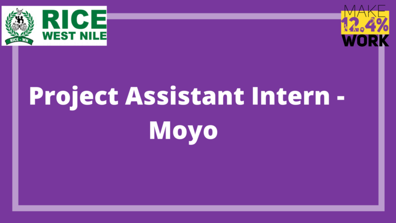 Project Assistant Intern – Moyo